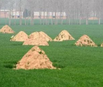 绵阳阴宅风水：形峦三十六绝